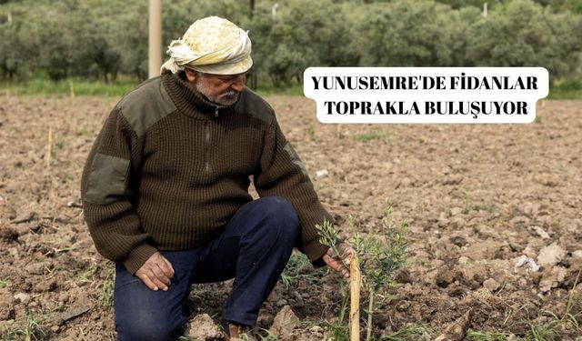 Yunusemre'de fidanlar toprakla buluşuyor