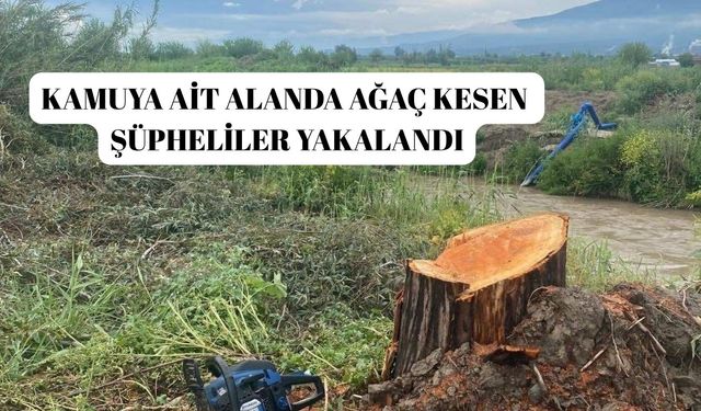 Kamuya ait alanda ağaç kesen şüpheliler yakalandı