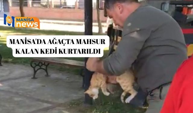 Manisa'da ağaçta mahsur kalan kedi kurtarıldı
