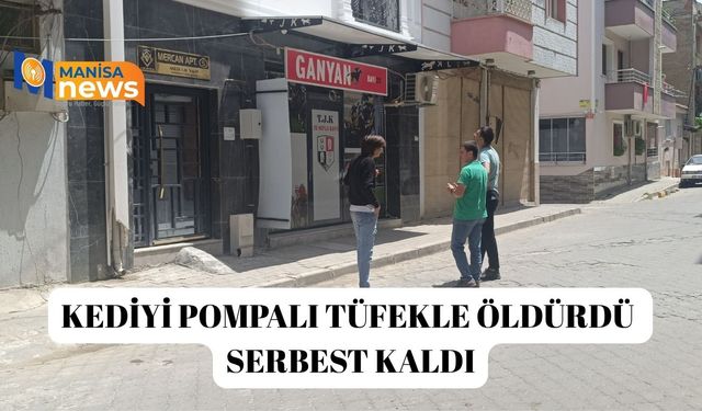 Kediyi pompalı tüfekle öldürdü serbest kaldı
