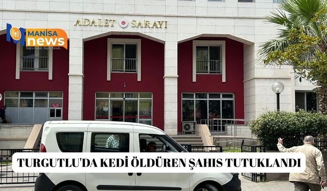 Turgutlu'da kedi öldüren şahıs tutuklandı