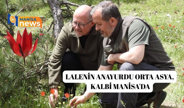 Lalenin anayurdu Orta Asya, kalbi Manisa'da