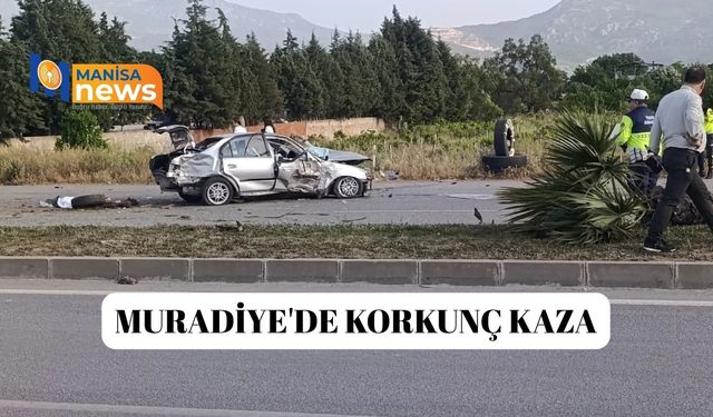 Muradiye'de korkunç kaza