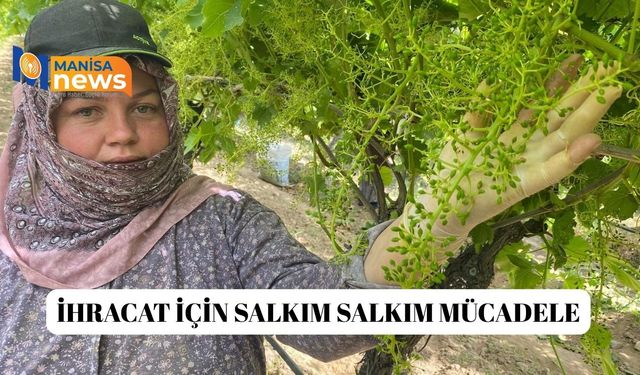 İhracat için salkım salkım mücadele