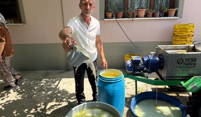 Sarıgöl'de bağlarda kesilen koruklar ekonomiye kazandırılıyor