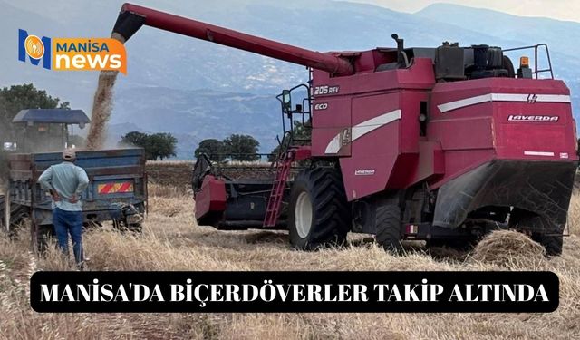 Manisa'da biçerdöverler takip altında