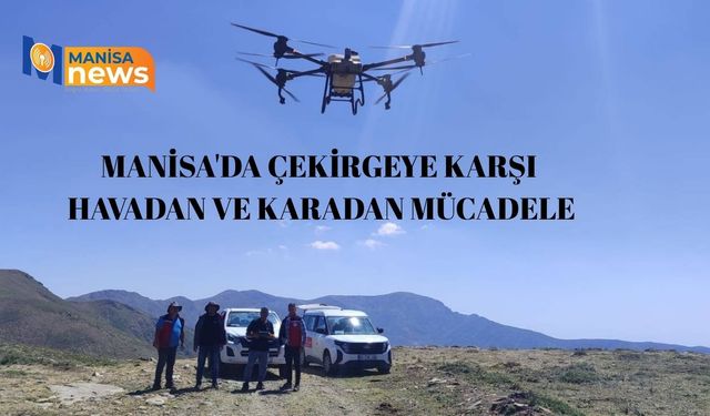 Manisa'da çekirgeye karşı havadan ve karadan mücadele
