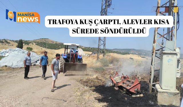 Trafoya kuş çarptı, alevler kısa sürede söndürüldü