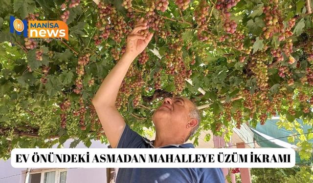 Ev önündeki asmadan mahalleye üzüm ikramı