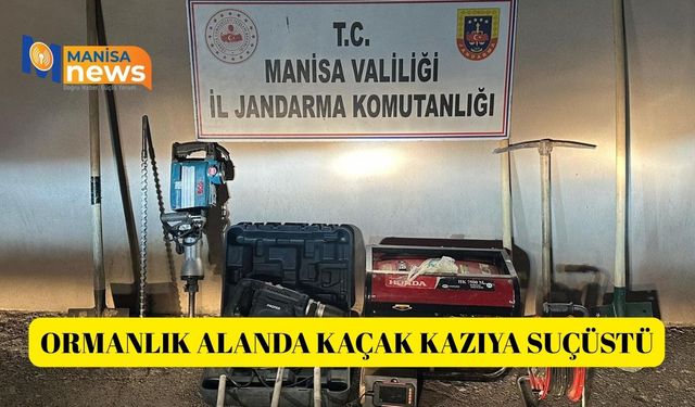 Ormanlık alanda kaçak kazıya suçüstü
