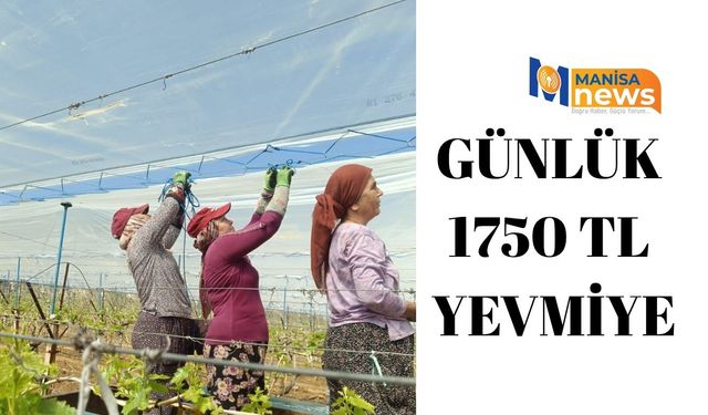 Günlük 1750 TL yevmiye