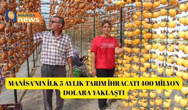 Manisa'nın ilk 5 aylık tarım ihracatı 400 milyon dolara yaklaştı