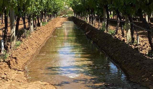 Sarıgöl Ovası'nda üzüme can suyu