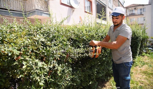 Yeşil bir Yunusemre için çalışmalar aralıksız devam ediyor