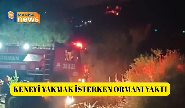Keneyi yakmak isterken ormanı yaktı