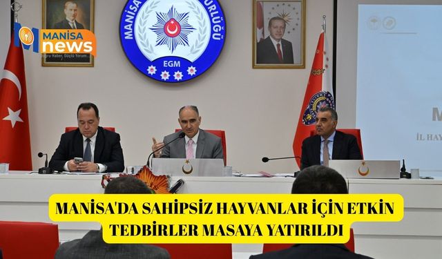 Manisa'da sahipsiz hayvanlar için etkin tedbirler masaya yatırıldı