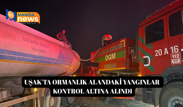 Uşak'ta ormanlık alandaki yangınlar kontrol altına alındı