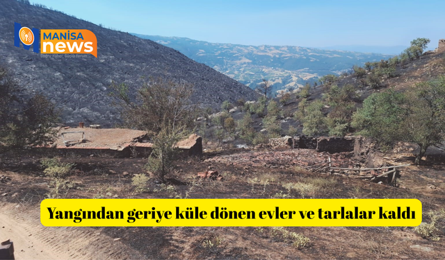 Yangından geriye küle dönen evler ve tarlalar kaldı