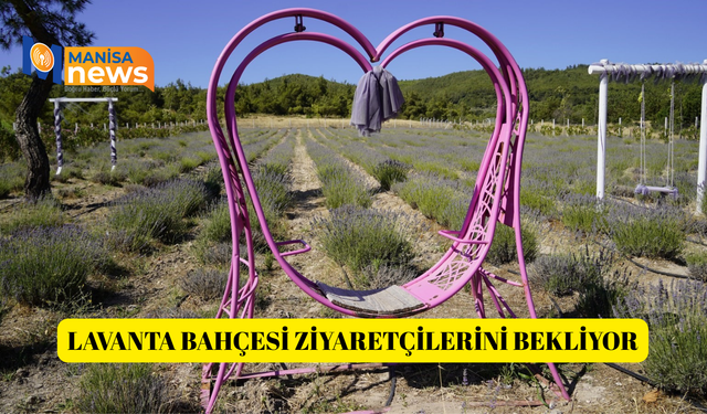 Lavanta bahçesi ziyaretçilerini bekliyor
