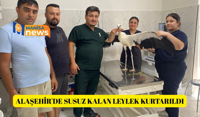 Alaşehir'de susuz kalan leylek kurtarıldı