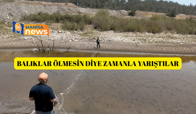 Balıklar ölmesin diye zamanla yarıştılar