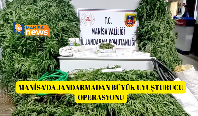 Manisa'da jandarmadan büyük uyuşturucu operasyonu