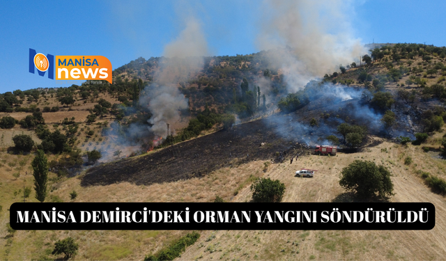 Manisa Demirci'deki orman yangını söndürüldü