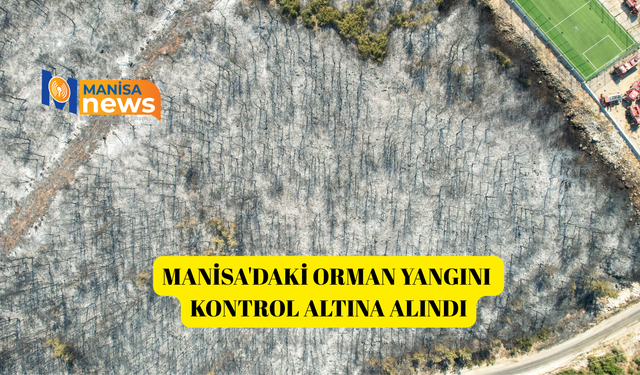 Manisa'daki orman yangını kontrol altına alındı
