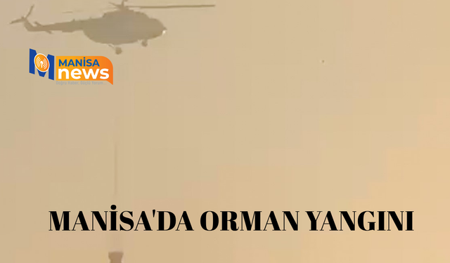 Manisa'da orman yangını