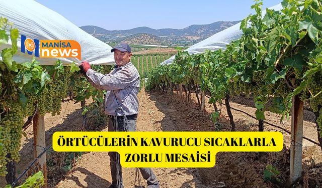 Örtücülerin kavurucu sıcaklarla zorlu mesaisi