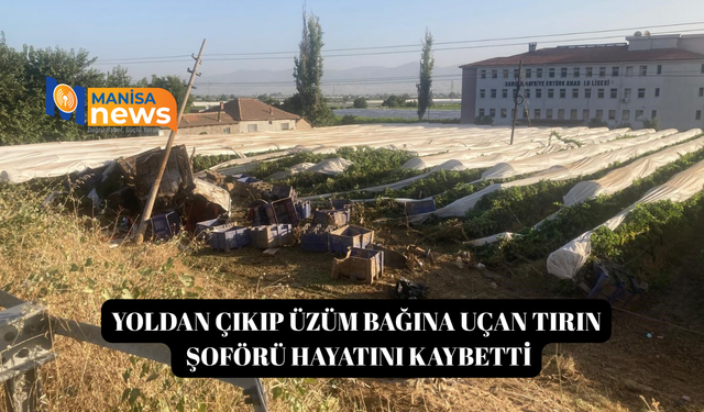Yoldan çıkıp üzüm bağına uçan tırın şoförü hayatını kaybetti