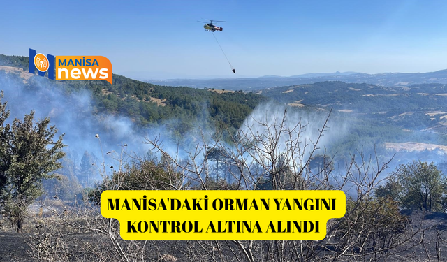Manisa'daki orman yangını kontrol altına alındı