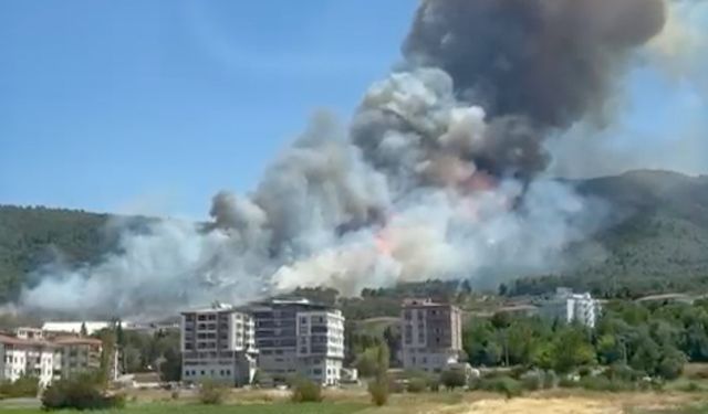 Soma'da orman yangını