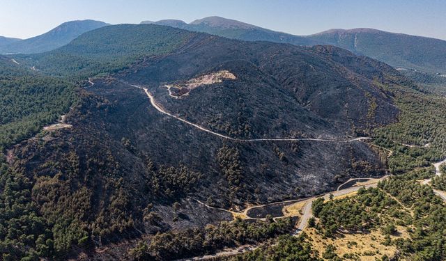 Soma’daki orman yangınında soğutma çalışmaları sürüyor