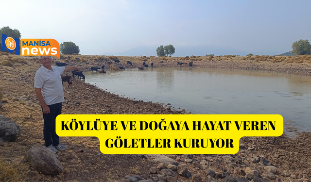 Köylüye ve doğaya hayat veren göletler kuruyor