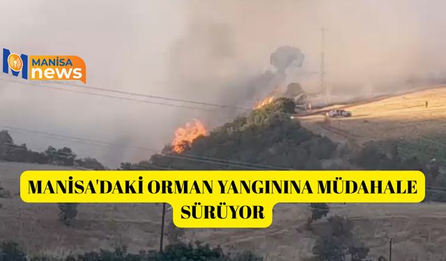 Manisa'daki orman yangınına müdahale sürüyor