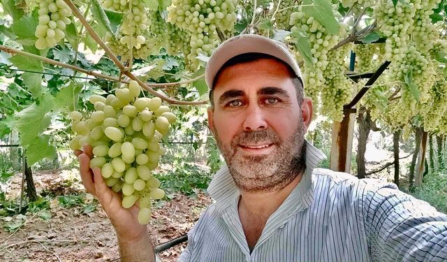 Kaliteli üzüm üretimiyle Sarıgöl’de örnek bağ