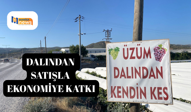 Dalından satışla ekonomiye katkı