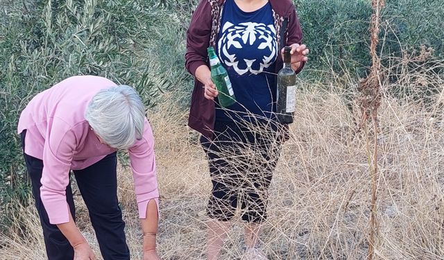 Sarıgöllü çiftçilerden zeytinliğe atılan alkol şişelerine tepki