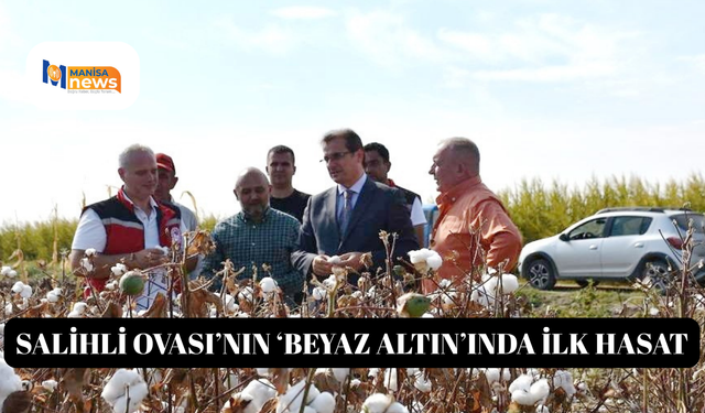 Salihli Ovası’nın ‘Beyaz Altın’ında ilk hasat