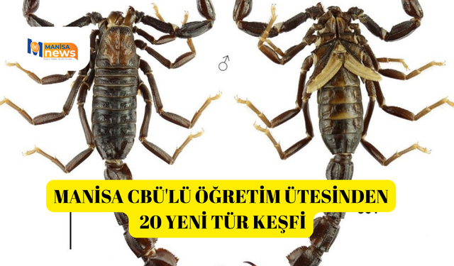 Manisa CBÜ'lü öğretim ütesinden 20 yeni tür keşfi