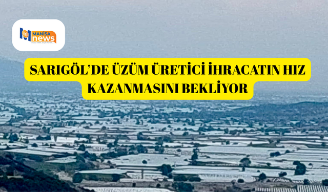 Sarıgöl’de üzüm üretici ihracatın hız kazanmasını bekliyor