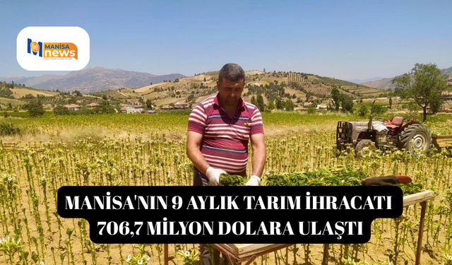 Manisa'nın 9 aylık tarım ihracatı 706,7 milyon dolara ulaştı