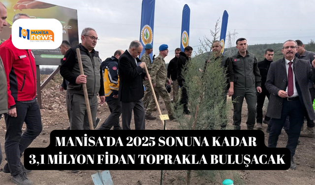 Manisa’da 2025 sonuna kadar 3,1 milyon fidan toprakla buluşacak