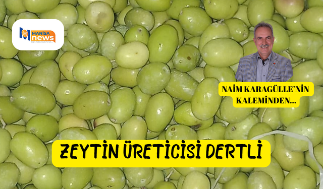 ZEYTİN ÜRETİCİSİ DERTLİ