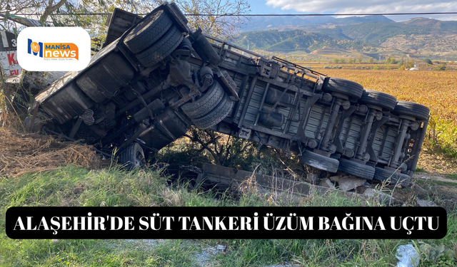 Alaşehir'de süt tankeri üzüm bağına uçtu