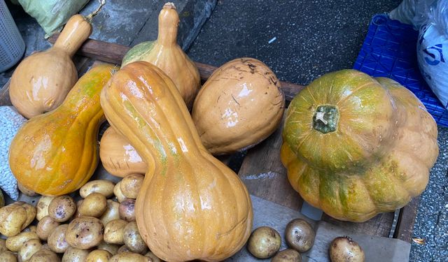 Kendisi ayrı, çekirdeği ayrı şifa kaynağı