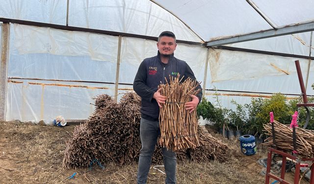 Genç kardeşlerden Sarıgöl ekonomisine 700 bin fidan hamlesi