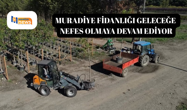 Muradiye Fidanlığı geleceğe nefes olmaya devam ediyor