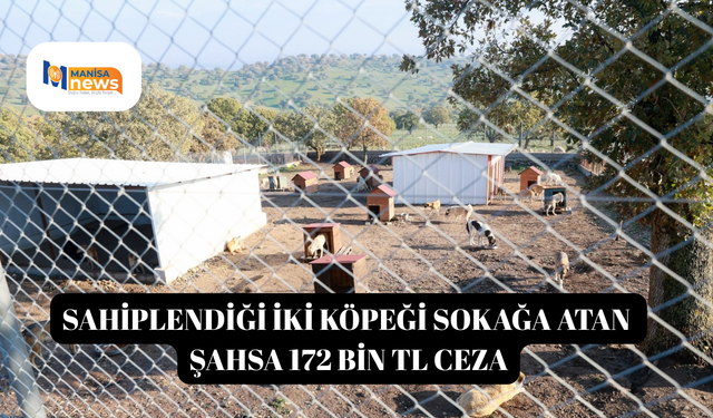 Sahiplendiği iki köpeği sokağa atan şahsa 172 bin TL ceza
